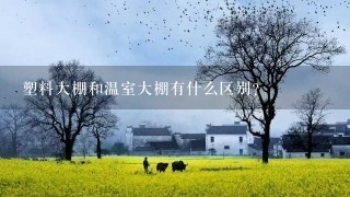 塑料大棚和温室大棚有什么区别?