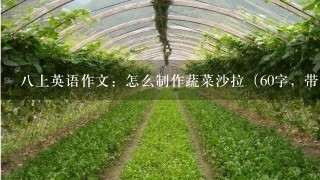 八上英语作文：怎么制作蔬菜沙拉（60字，带翻译，谢谢啦~~）