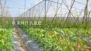 5 收菜网什么意思