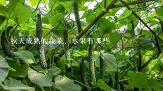 秋天成熟的蔬菜、水果有哪些