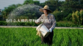 为什么大棚的塑料膜要用白？