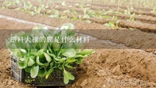 塑料大棚的膜是什么材料