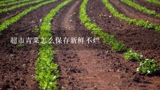 超市青菜怎么保存新鲜不烂