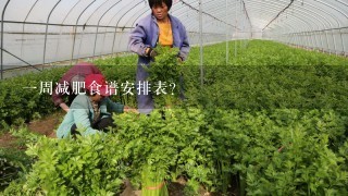 一周减肥食谱安排表？