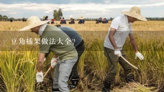 豆角插架做法大全？