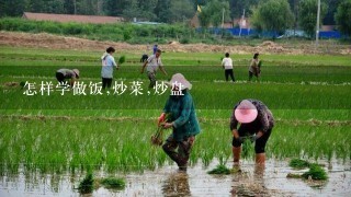 怎样学做饭,炒菜,炒盘