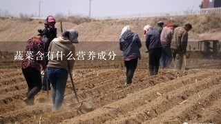 蔬菜含有什么营养成分