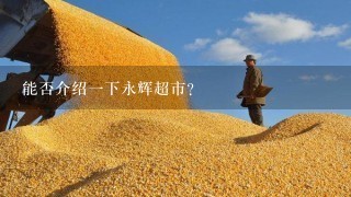 能否介绍一下永辉超市？