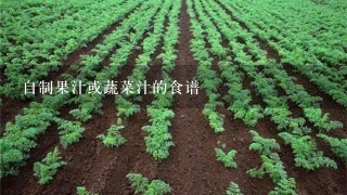 自制果汁或蔬菜汁的食谱