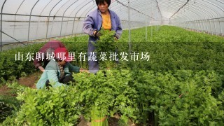 山东聊城哪里有蔬菜批发市场