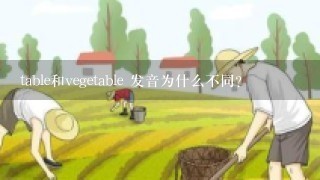 table和vegetable 发音为什么不同？