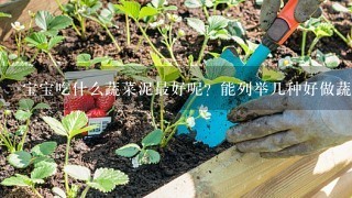 宝宝吃什么蔬菜泥最好呢？能列举几种好做蔬菜泥又营养的蔬菜吗？