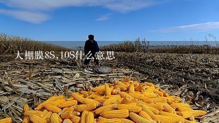 大棚膜8S,10S什么意思