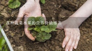 各种蔬菜水果的营养价值排名