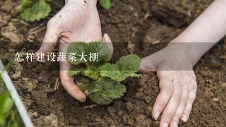 怎样建设蔬菜大棚