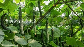 肾病食疗菜谱大全