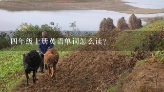 四年级上册英语单词怎么读？