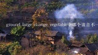 ground large change vegetable中哪个读音不一样