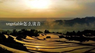 vegetable怎么读音