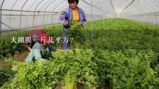 大棚膜一斤几平方？