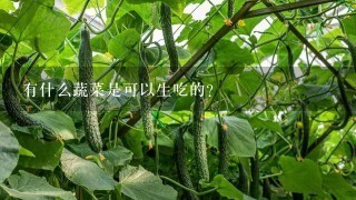 有什么蔬菜是可以生吃的？