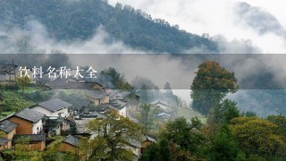 饮料名称大全