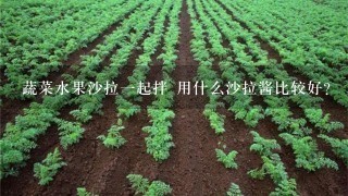 蔬菜水果沙拉一起拌 用什么沙拉酱比较好？ 感谢感谢