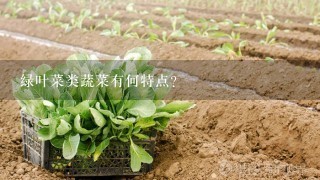 绿叶菜类蔬菜有何特点？