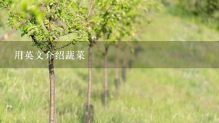 用英文介绍蔬菜