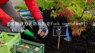 干菜翻译为英语真的是Fuck vegetables吗？ 怎么解释