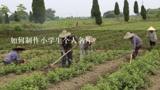 如何制作小学生个人名片？