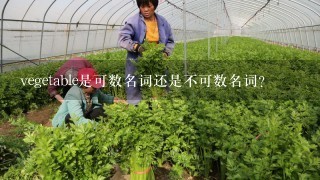 vegetable是可数名词还是不可数名词？