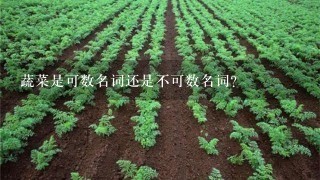 蔬菜是可数名词还是不可数名词?