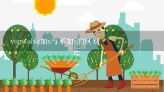 vegetable加s与不加s的区别