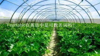 Vegetable在英语中是可数名词吗?