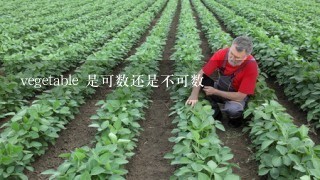 vegetable 是可数还是不可数