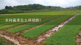 农村蔬菜怎么找销路？