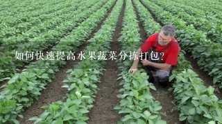 如何快速提高水果蔬菜分拣打包？