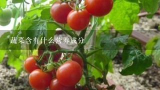 蔬菜含有什么营养成分