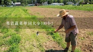 英语蔬菜单词大全100个？