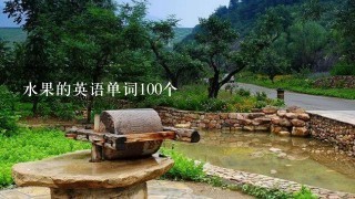 水果的英语单词100个