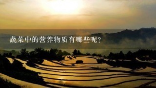 蔬菜中的营养物质有哪些呢？