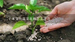 2十米宽的蔬菜大棚怎么建造