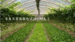 多多买菜客服电话24小时人工