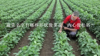 蔬菜名字有哪些形状像菜花，内心像松塔？