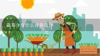 蔬菜含有什么营养成分