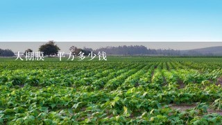 大棚膜1平方多少钱