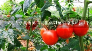 《人人学英语英语词汇学习英语原版》pdf下载在线阅读全文，求百度网盘云资源