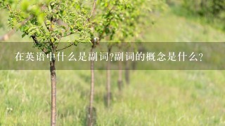 在英语中什么是副词?副词的概念是什么?