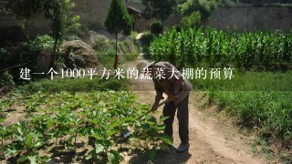 建1个1000平方米的蔬菜大棚的预算